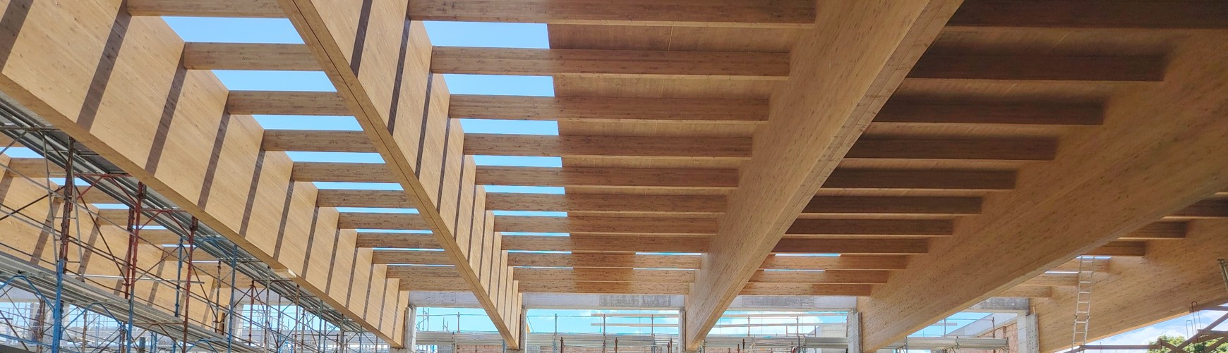 STRUTTURE IN LEGNO